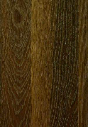 ModernWood Texture