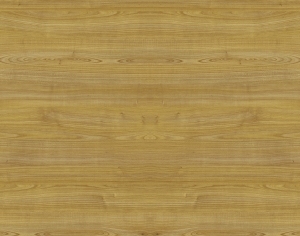ModernWood Texture
