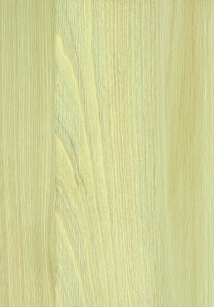 ModernWood Texture