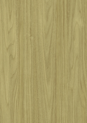ModernWood Texture