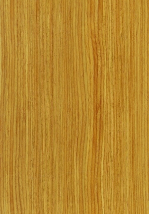 ModernWood Texture