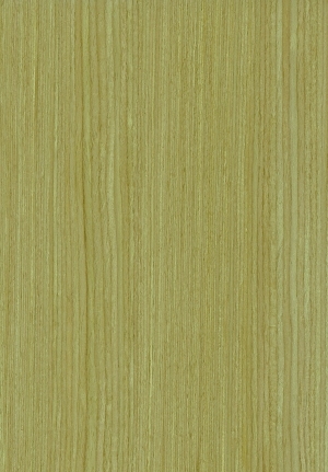 ModernWood Texture