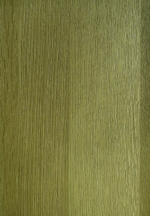 ModernWood Texture