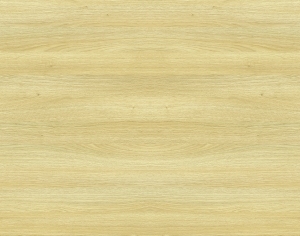 ModernWood Texture