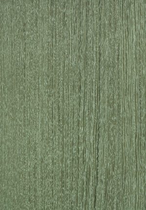 现代木纹-ID:421545983