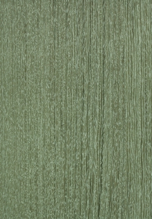 ModernWood Texture