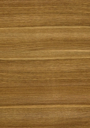 ModernWood Texture