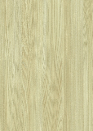 ModernWood Texture