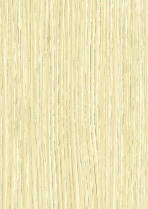 ModernWood Texture