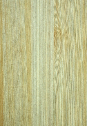 ModernWood Texture