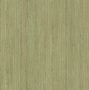 ModernWood Texture