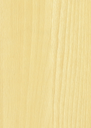 ModernWood Texture