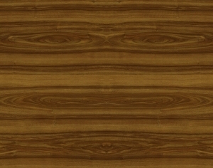 ModernWood Texture