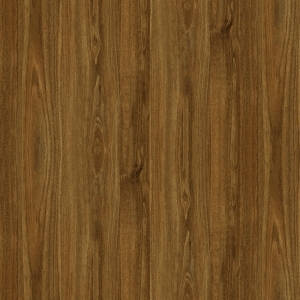 ModernWood Texture
