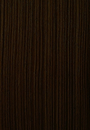 ModernWood Texture