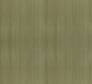 ModernWood Texture