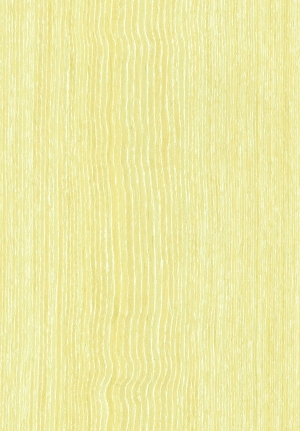 ModernWood Texture