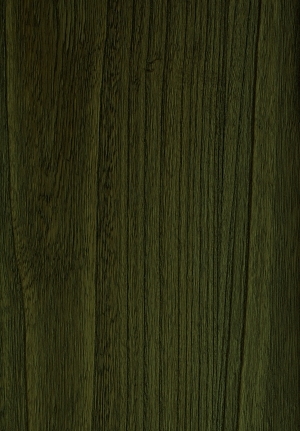 ModernWood Texture