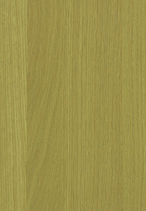 ModernWood Texture