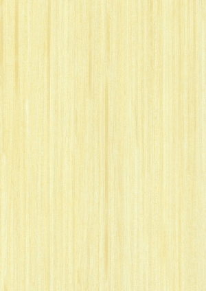 ModernWood Texture