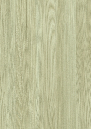 ModernWood Texture