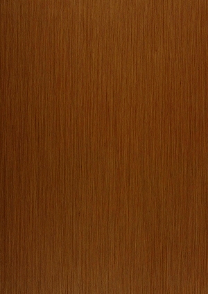 ModernWood Texture