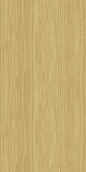 ModernWood Texture