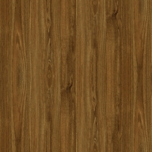 ModernWood Texture