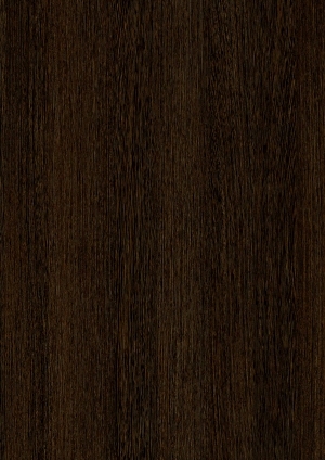 ModernWood Texture