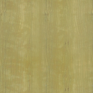 ModernWood Texture