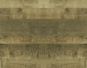 ModernWood Texture
