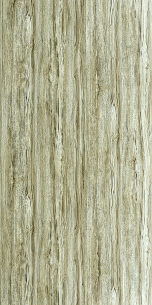 ModernWood Texture