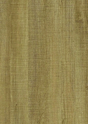 ModernWood Texture