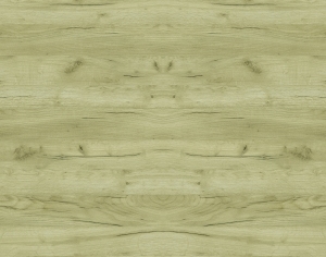 ModernWood Texture