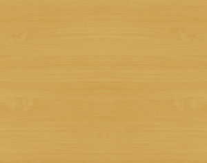 ModernWood Texture
