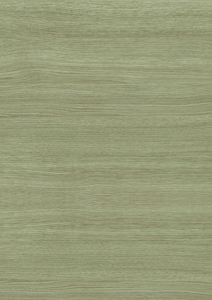 ModernWood Texture