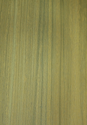 现代木纹-ID:420300015