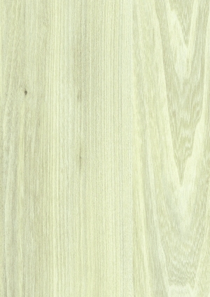 ModernWood Texture