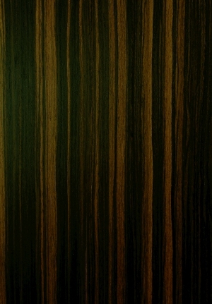 ModernWood Texture