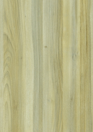 ModernWood Texture