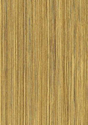 ModernWood Texture