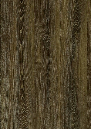 ModernWood Texture