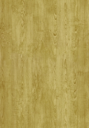 ModernWood Texture