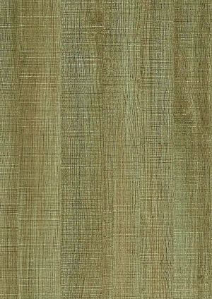 ModernWood Texture