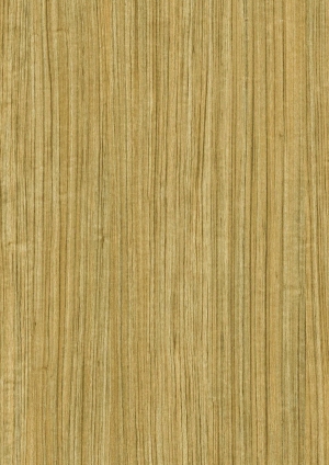 现代木纹-ID:642421014