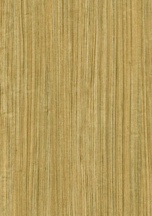 ModernWood Texture