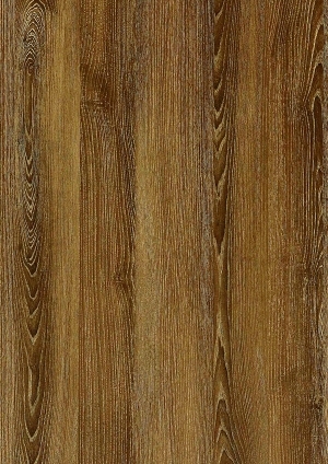 ModernWood Texture
