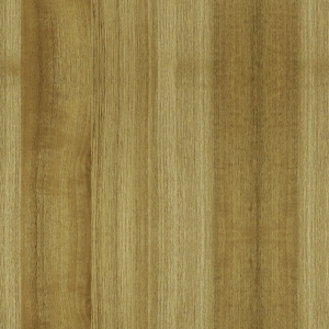 ModernWood Texture
