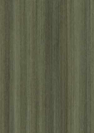 ModernWood Texture