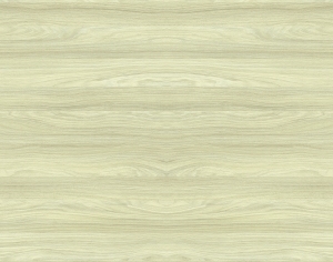 ModernWood Texture